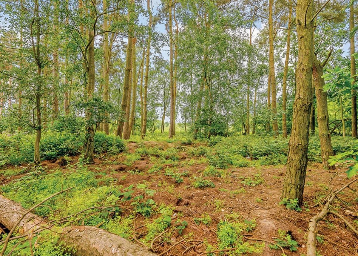 Woodhall Country Park Lodges Woodhall Spa Eksteriør bilde
